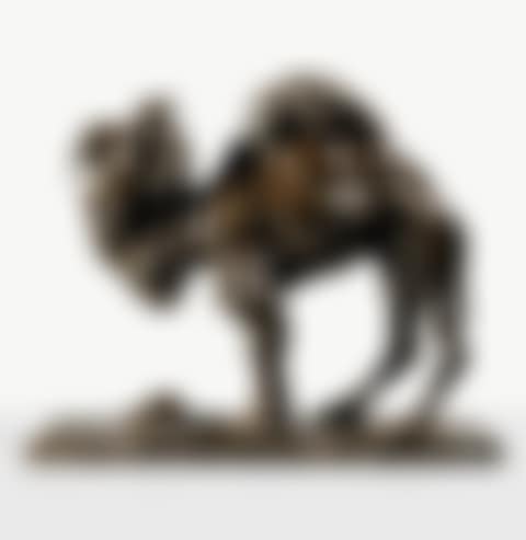 CHAMEAU BUVANT (preview)