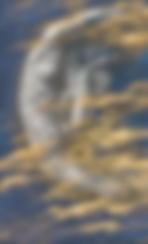 THE WEARY MOON (preview)