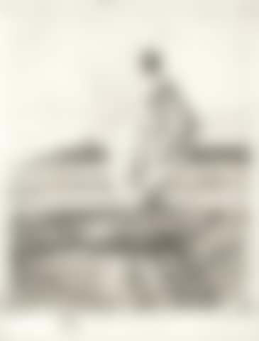 The Swan (preview)