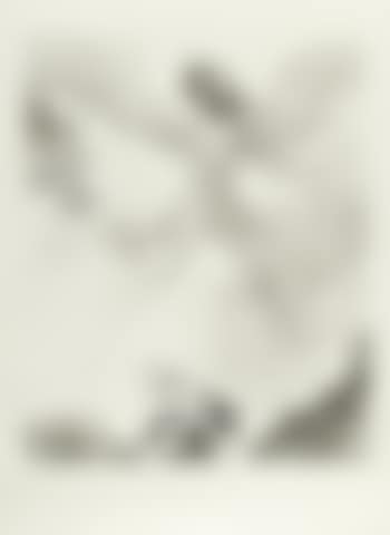 Icarus, from 'Mythologie' (preview)