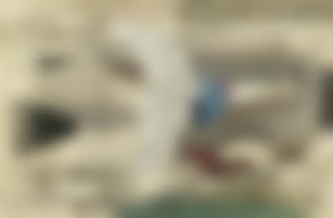 Oiseau (preview)