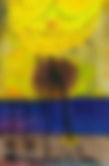 A Rosegarden for Lautoka (preview)