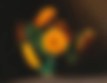 Marigolds (preview)