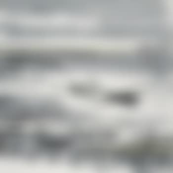 Two Geese Flying (preview)