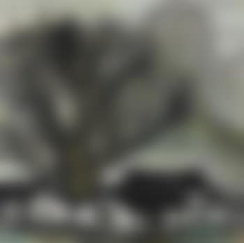 Houses Beneath a Tree (preview)