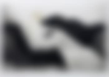 Le sofa (preview)