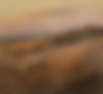 Cart in Wimmera (preview)