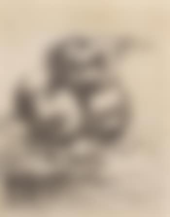Naturaleza Muerta (preview)