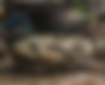 A shepherd letting his flock out of the stable (preview)