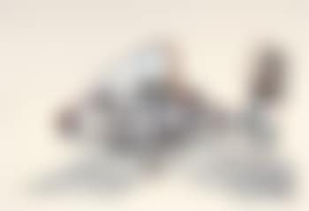 Untitled (preview)