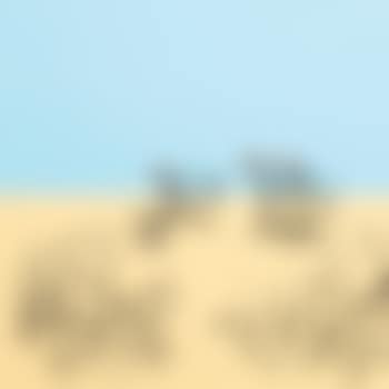 Trollies (Color) (preview)