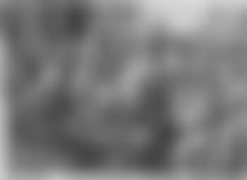 Der Triumph des Mordechai (preview)