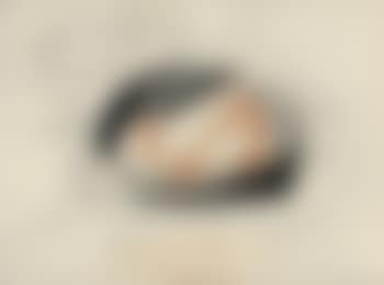 Stilleben mit Früchten (preview)