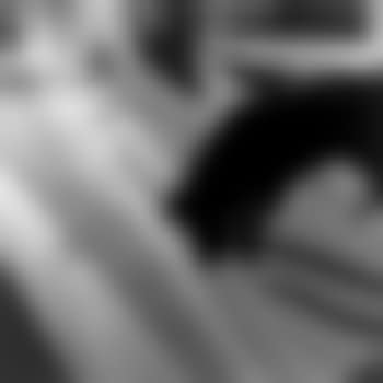 Paris (Dog, near Avenue De L'opéra) (preview)