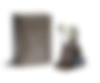 Companion (Passing Through) (Brown) (preview)
