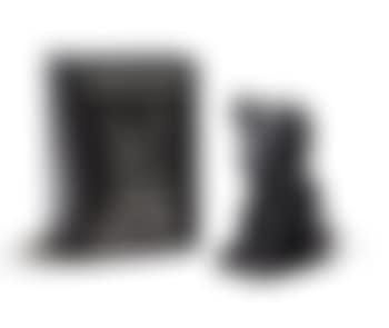 Companion (Passing Through) (Black) (preview)