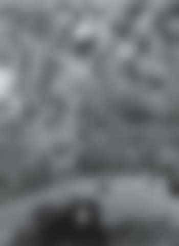 Bridge 14 Feb 45 (II) (preview)