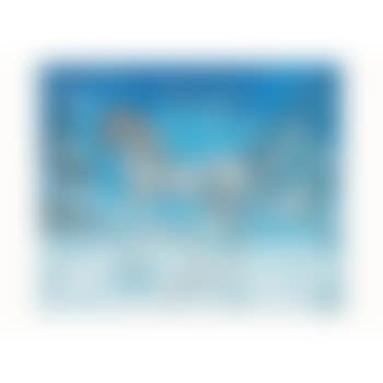 Cheval allegre (Happy unicorn) (preview)