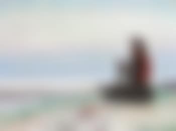 Fischerman's wife knitting on Skagen beach (preview)
