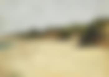 Coastel scene from Skagen north beach (preview)