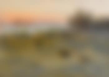 Orrspel i skymningsljus , (preview)