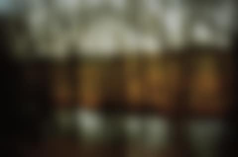 Trees by the River, Munich (preview)
