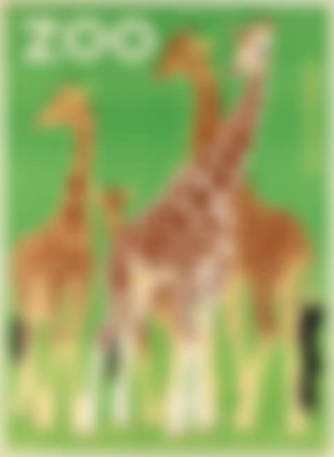Zoos / Giraffes (preview)