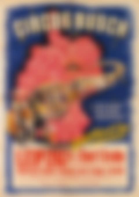 International Circus (preview)