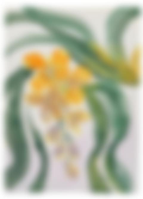 Orchideenzweig (preview)
