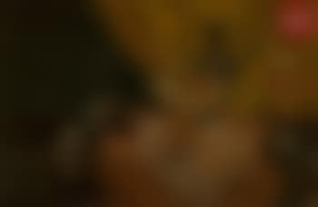Nature morte (preview)