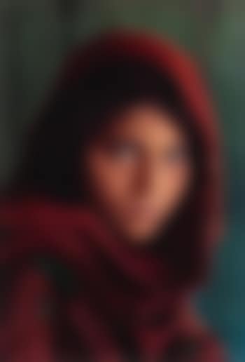 Afghan Girl, Sharbat Gula, Peshawar, Pakistan (preview)