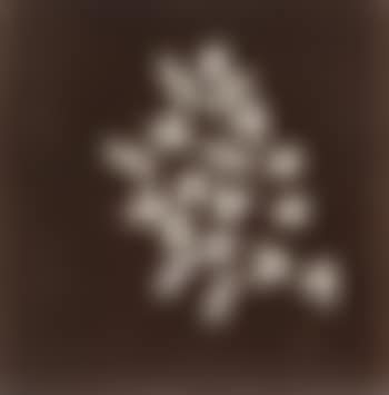Multiples (preview)