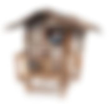 Mickey Mouse Shack Sculpture ,
2010 (preview)