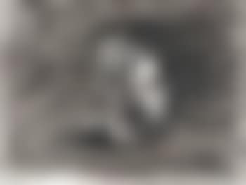 Head , (preview)