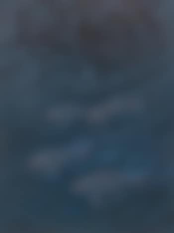 Four Fish in Reeds , (preview)