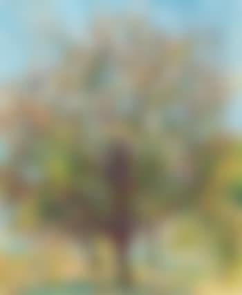 Blühender Obstbaum ,
1918 (preview)
