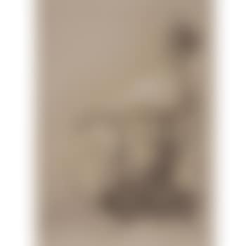 Study of a seated woman , (preview)