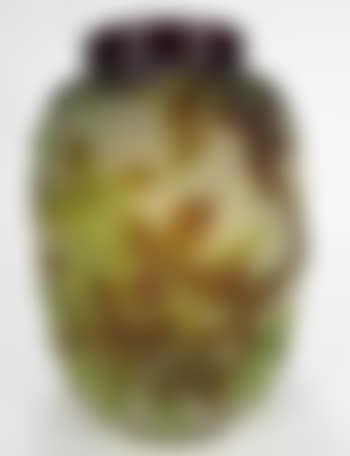 Clematis ,
Circa
1925 (preview)