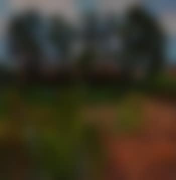 The Overgrown Garden, Walberswick ,
1984 (preview)