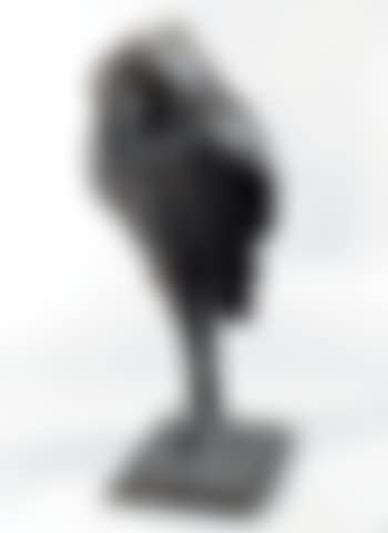 Hibou sans ailes ,
1955
-
1981 (preview)