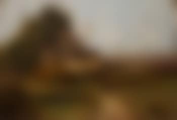 Paysanne Au Chemin , (preview)