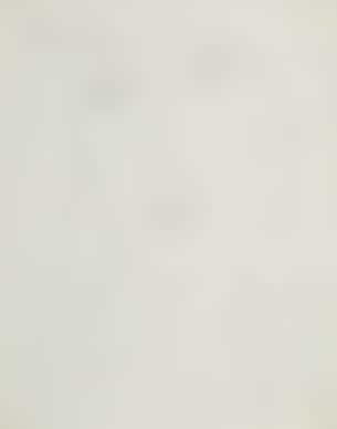 Untitled ,
1955 (preview)