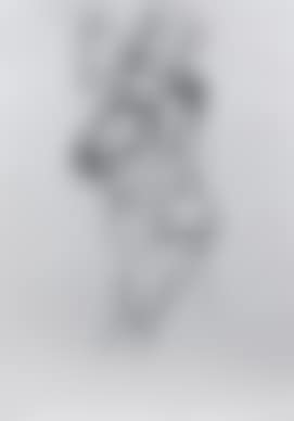 Untitled , (preview)