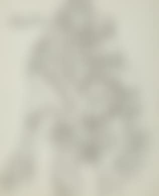 Untitled ,
1966 (preview)