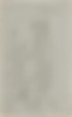 Untitled ,
1957 (preview)