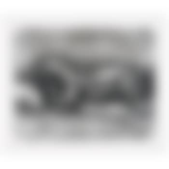 Perro herido ,
1989 (preview)