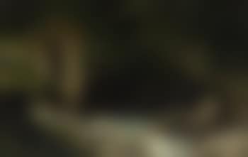 Fisherman in a Woody Stream , (preview)