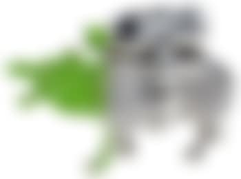 Cloned green Hypo ,
2012 (preview)