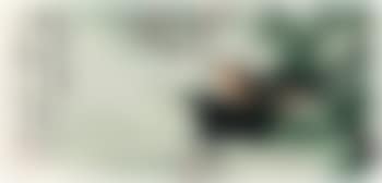 Two horses , (preview)