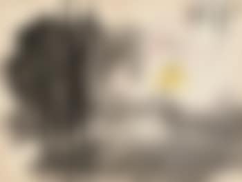 White lotus , (preview)